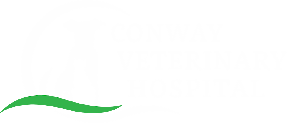 Conway Veterinary Hospital Logo